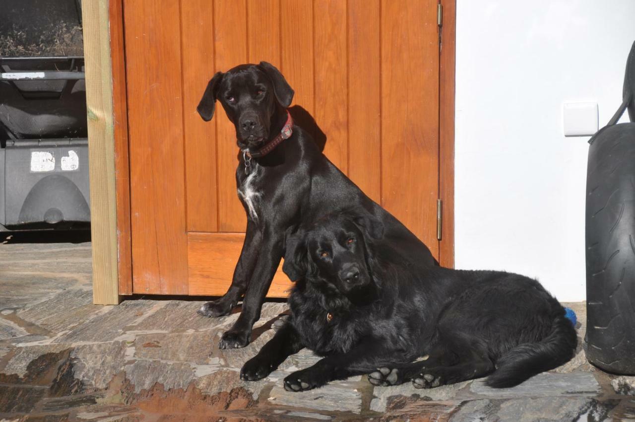Quinta Do Bom Vento Konuk evi Óbidos Dış mekan fotoğraf